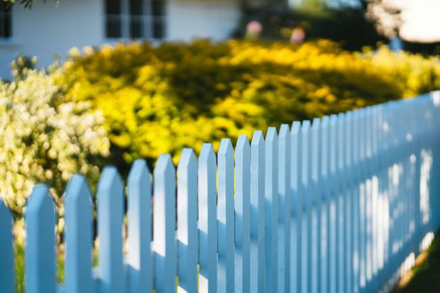White picket fence with yellow flowers in a sunny garden
