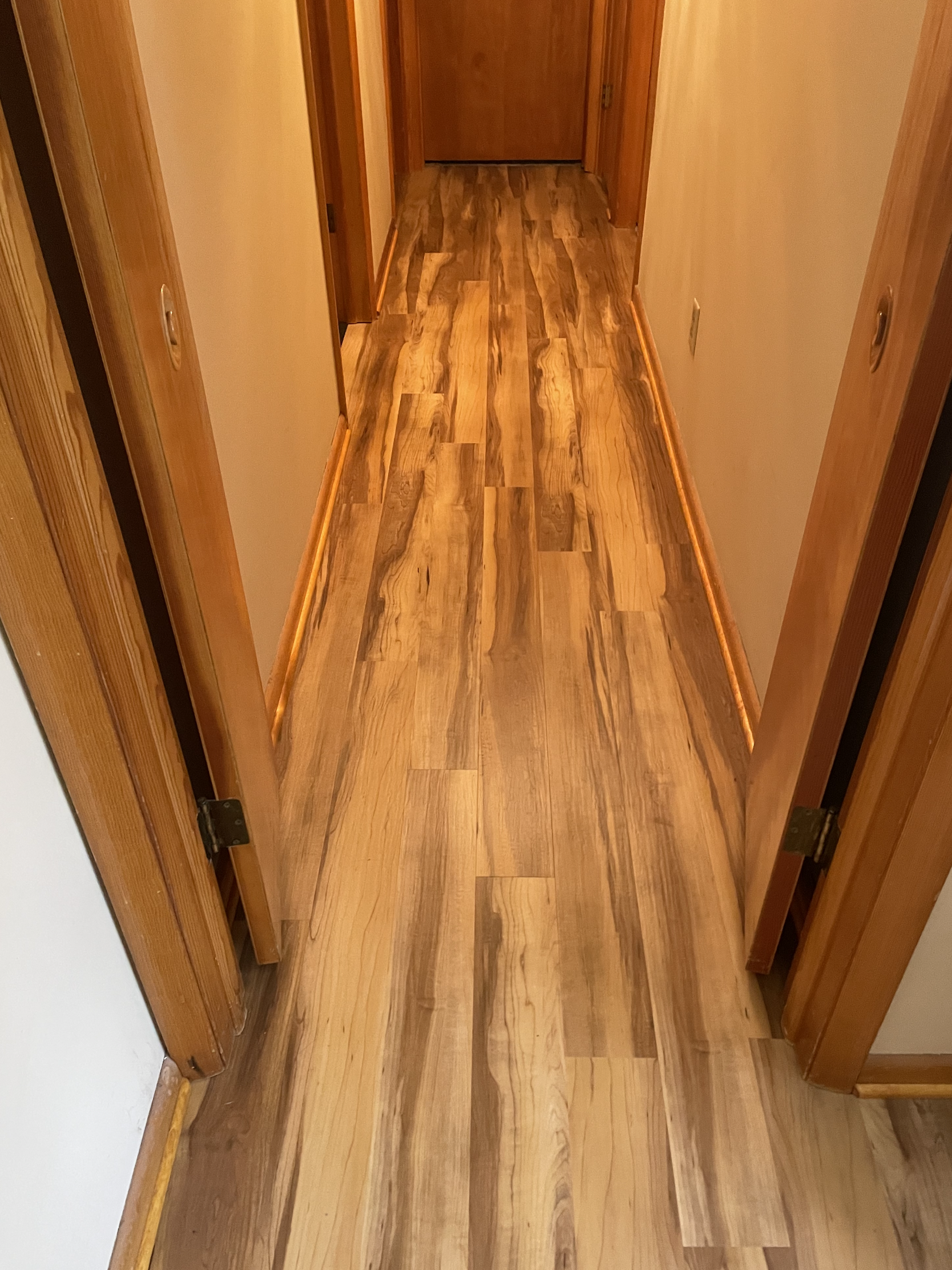 A hallway with hardwood floors and wooden doors in a house.