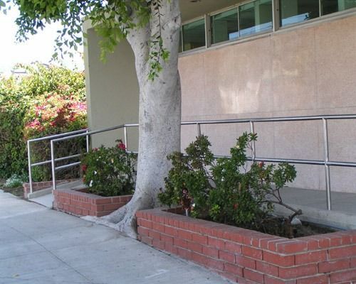 Concrete sidewalk beside building with tree and raised brick planters with shrubs