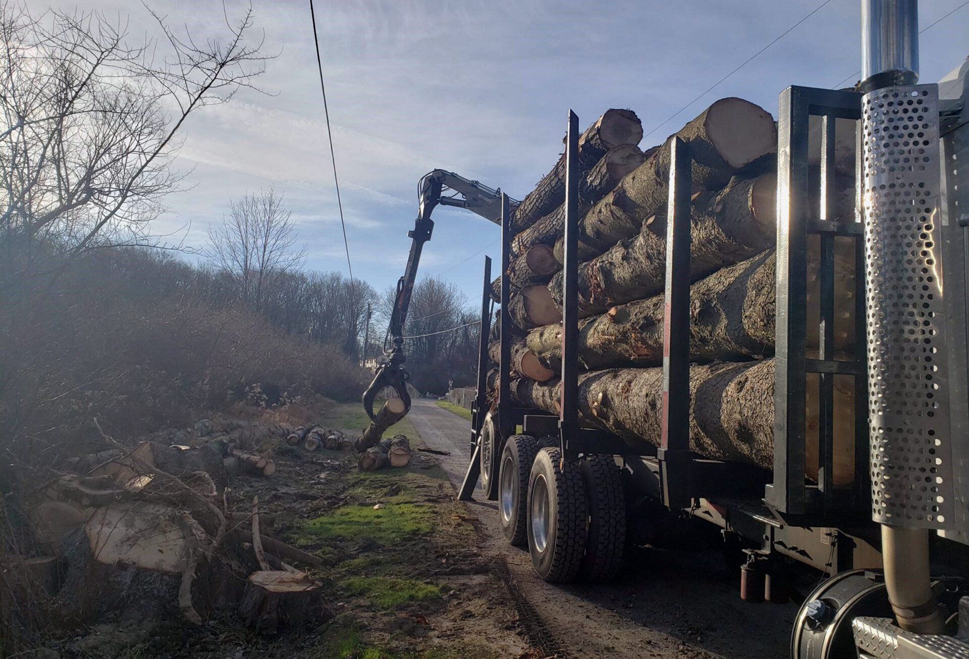 Land clearing