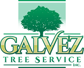 Galvez Tree Service - Logo
