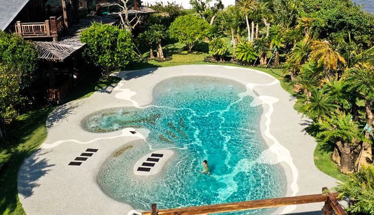 An aerial view of a large swimming pool surrounded by trees.
