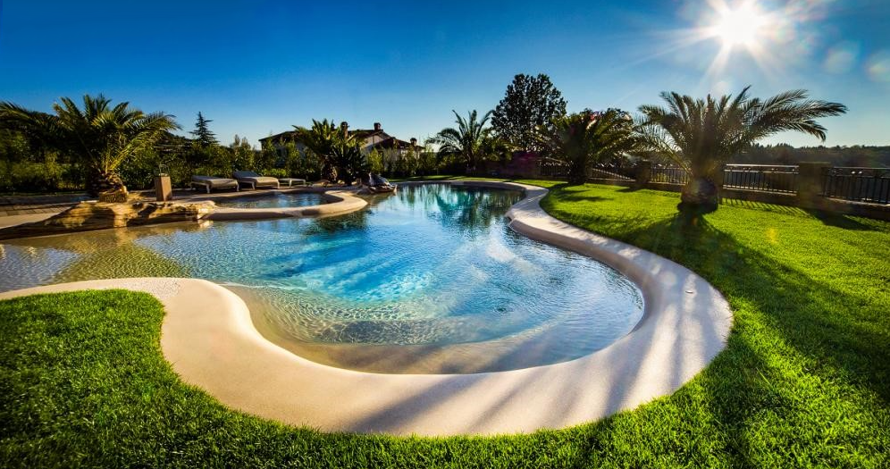 A large swimming pool surrounded by palm trees and grass on a sunny day.
