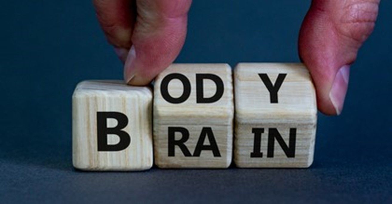 a person is holding wooden blocks with the words body brain written on them .