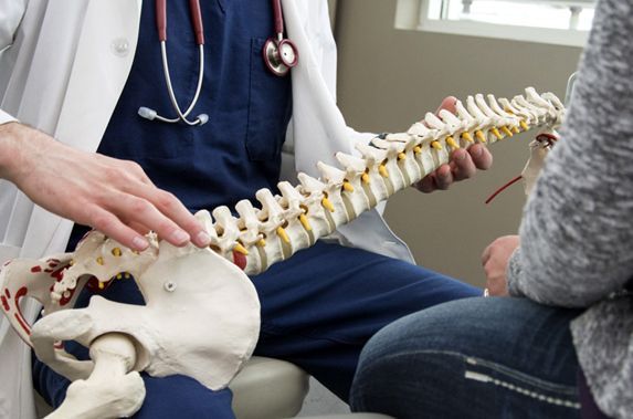 Chiropractor showing spine model