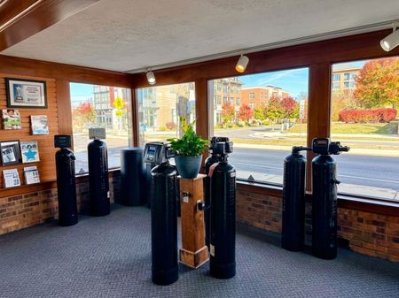 Indoor lobby with black bollards, a potted plant, and large windows overlooking a street and autumn trees