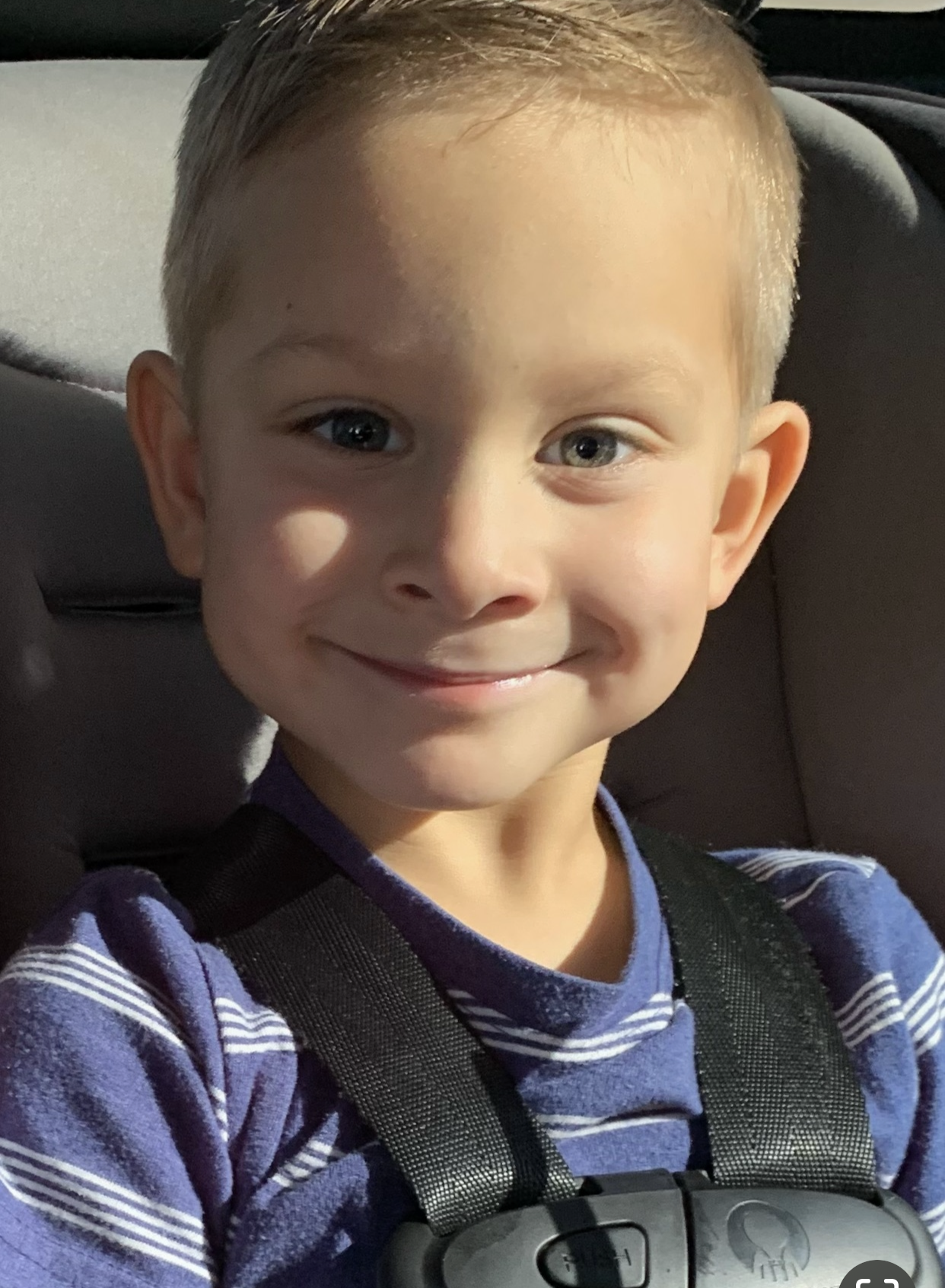 A young boy wearing a seat belt is smiling for the camera
