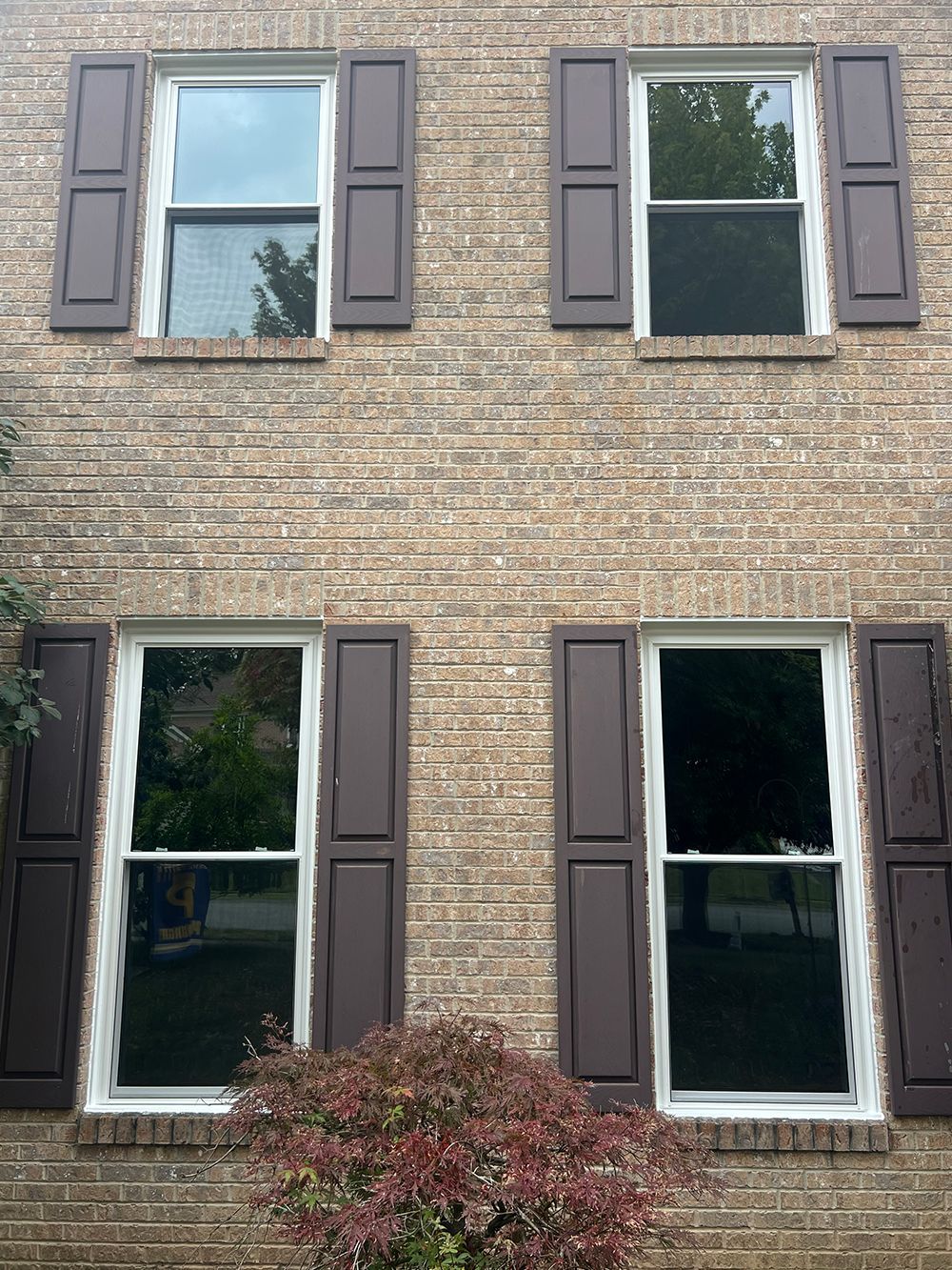 Four brown-shuttered windows on a brick building. Dark glass reflects the outdoors.