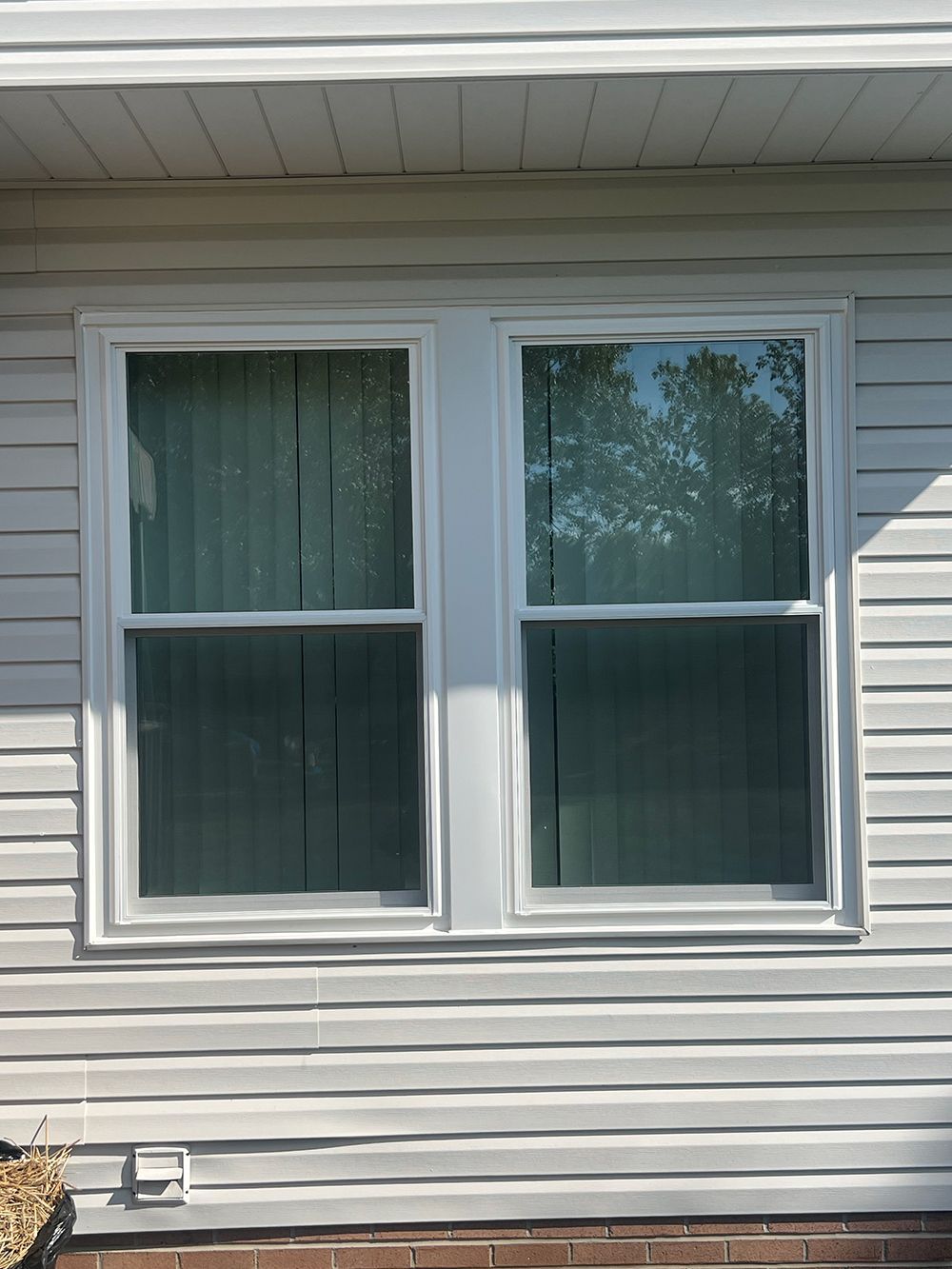 Two white framed windows on a white vinyl-sided building. One window reflects trees.
