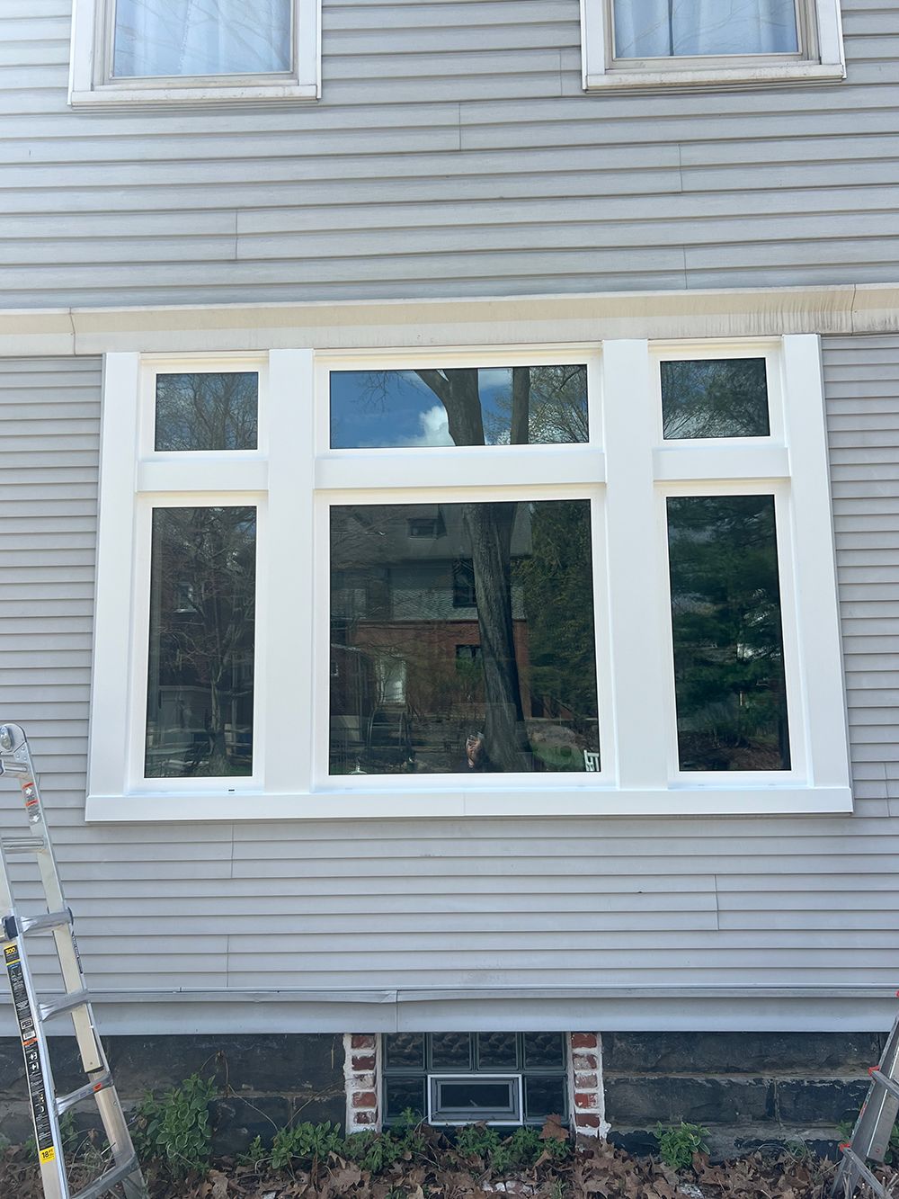 Large white-framed window on a gray house reflecting trees. A ladder leans against the house on the left.