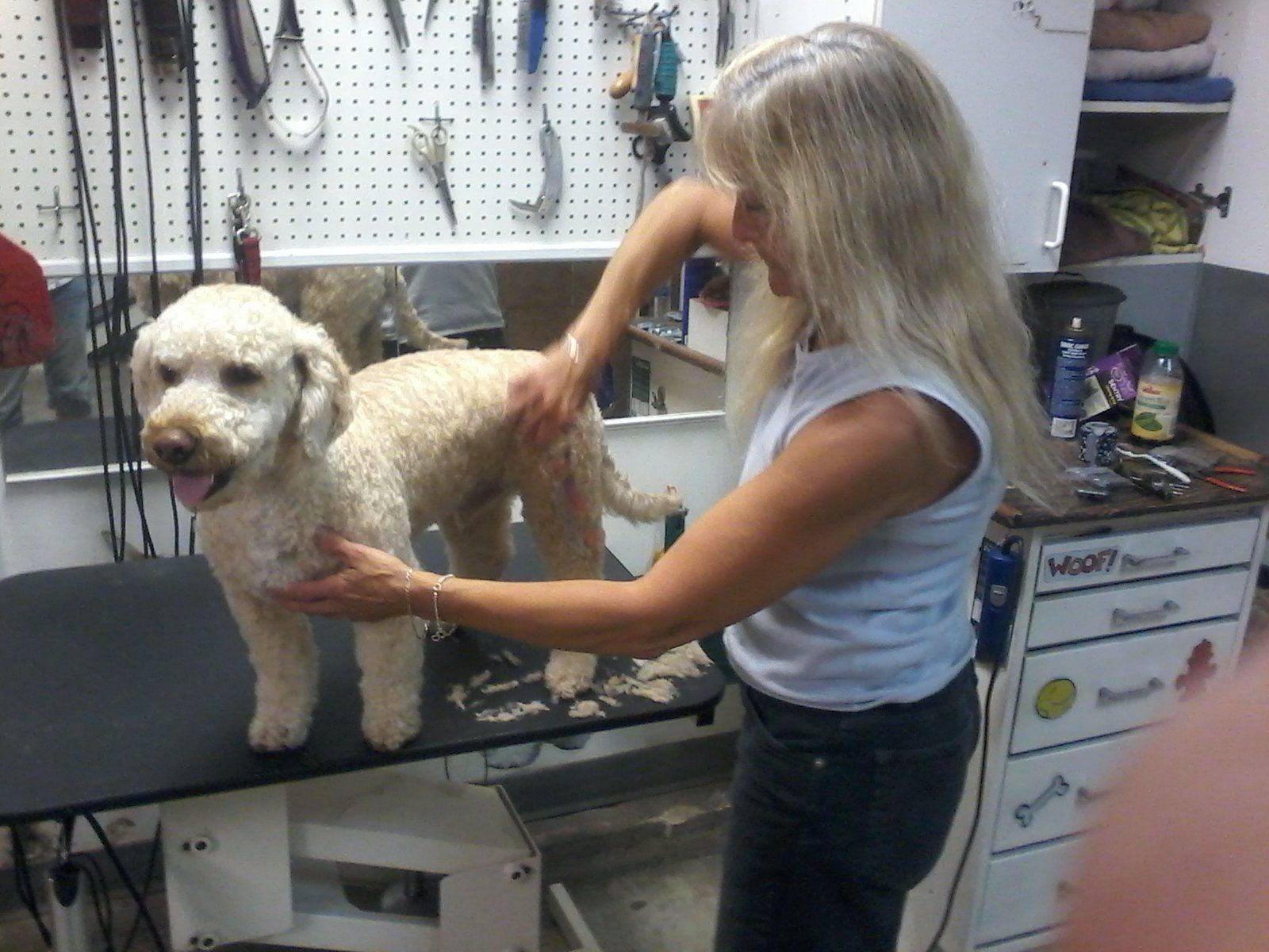 Bathing and brushing