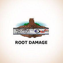 illustration of root damage