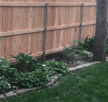 A wooden fence is surrounded by plants and grass in a backyard.