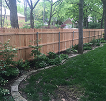 A wooden fence is surrounded by trees in a backyard.