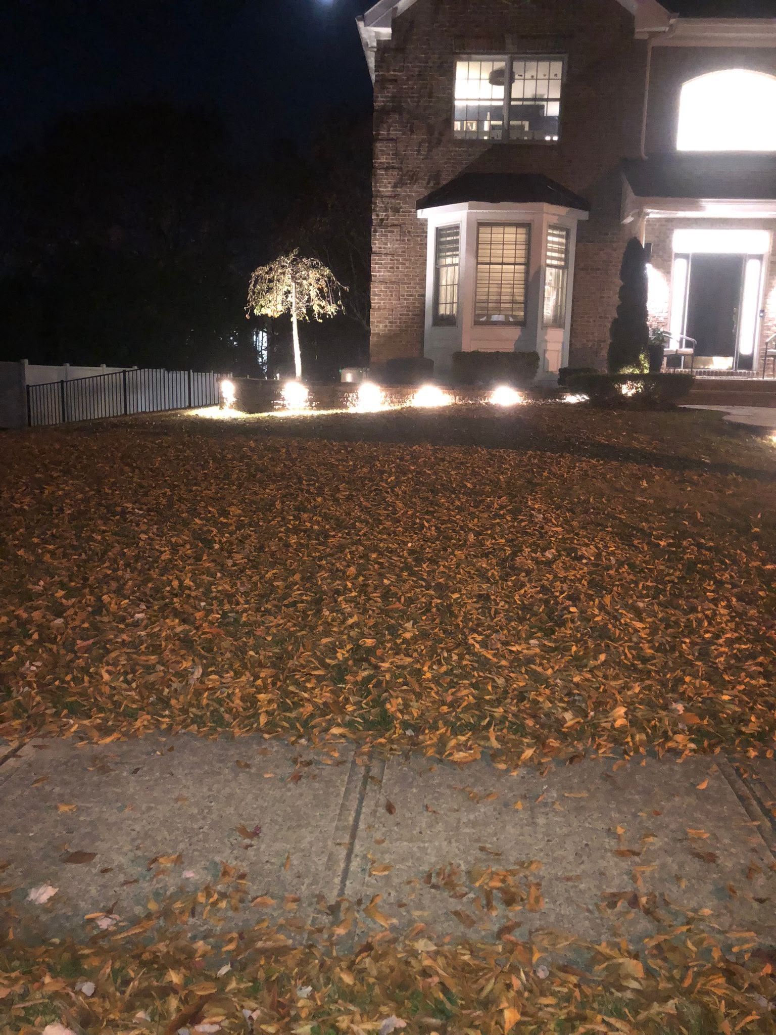 House front at night with bright holiday lights and a tree in the yard, covered in fallen leaves