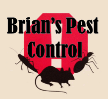 Pest Control Chelmsford