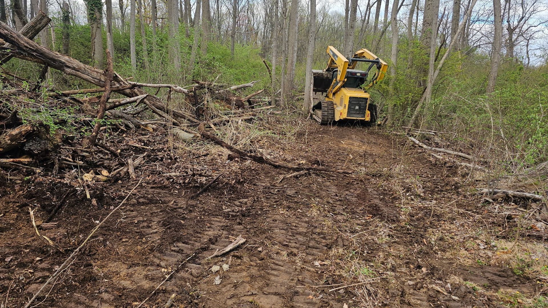 A yellow tractor is sitting in the middle of a forest.