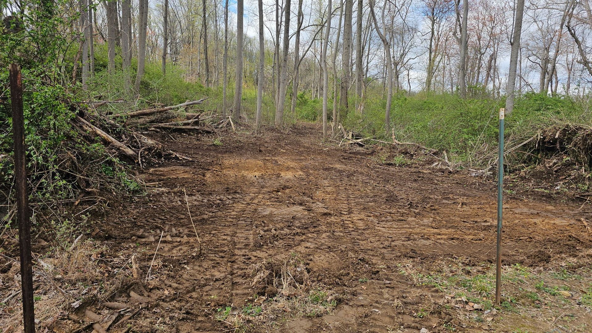 A dirt road in the middle of a forest with trees in the background.