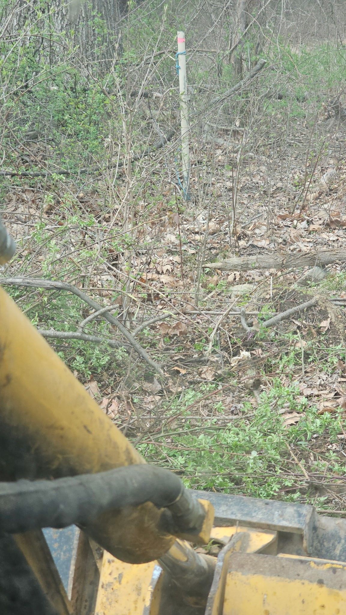 A person is driving a bulldozer in the woods.