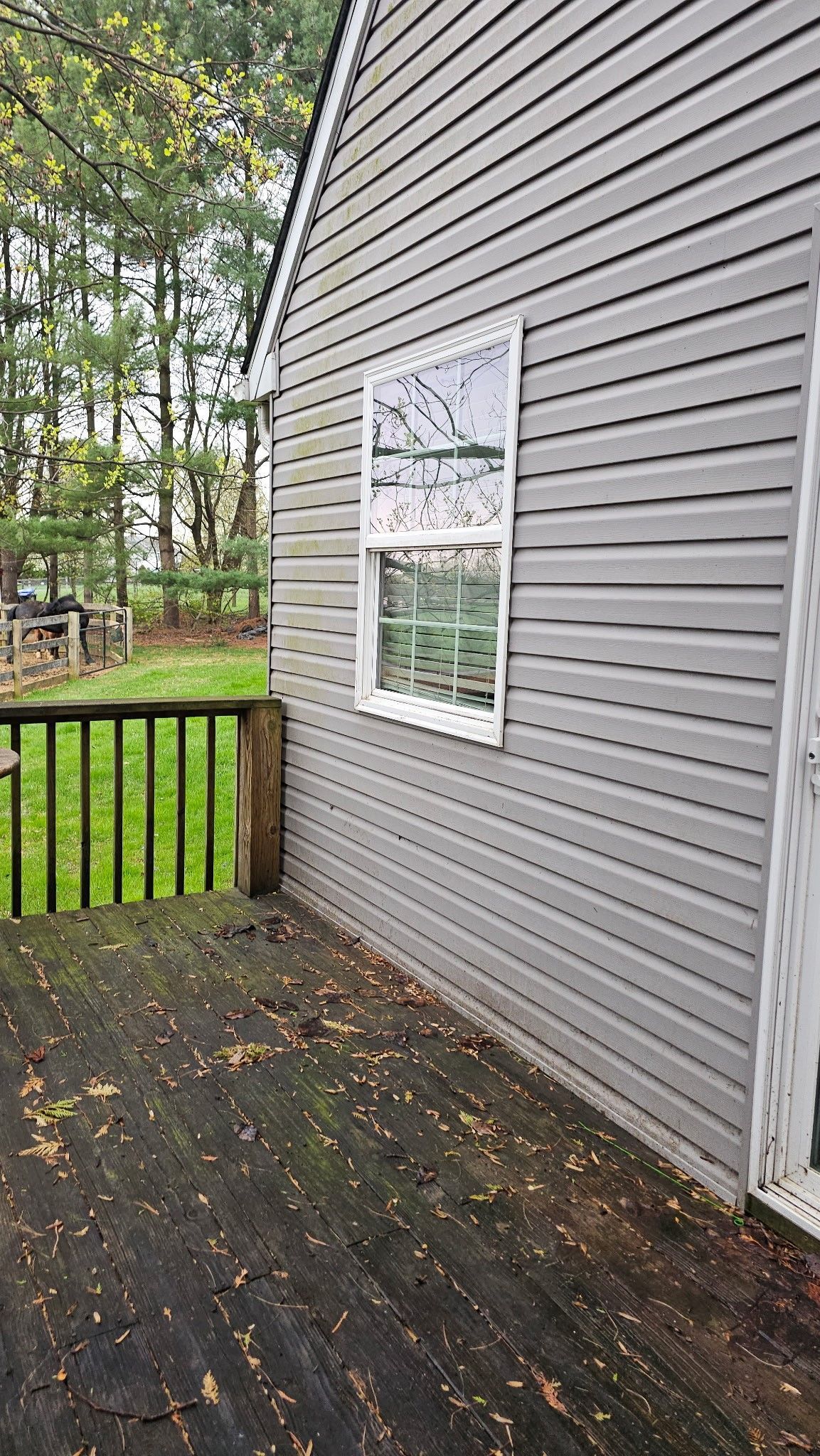 Spring and fall yard cleanup services before