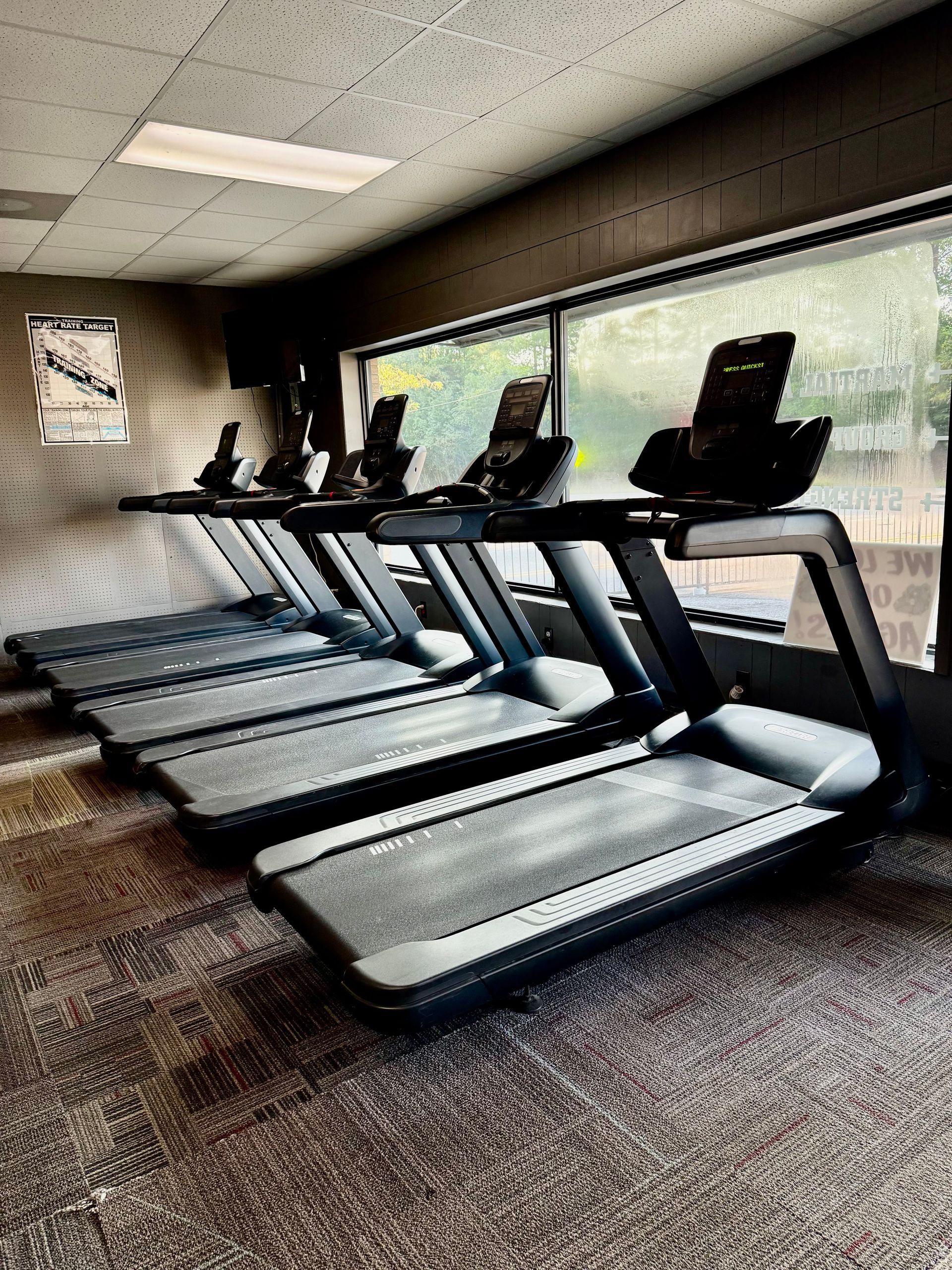 Row of treadmills in a gym, positioned near a window. The equipment is black and gray, with a gray carpet.