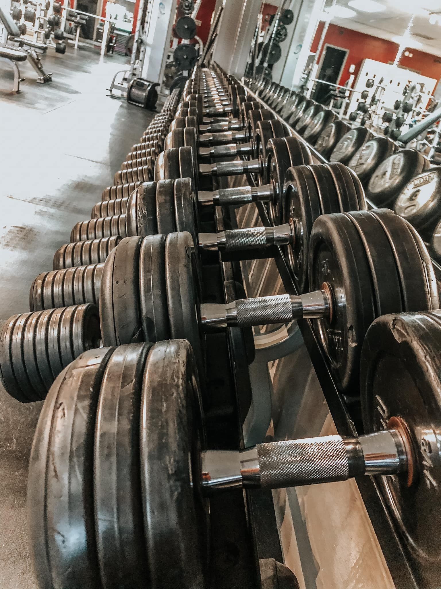 Rows of dumbbells on a rack in a gym, with varying weights, suggesting a fitness environment.