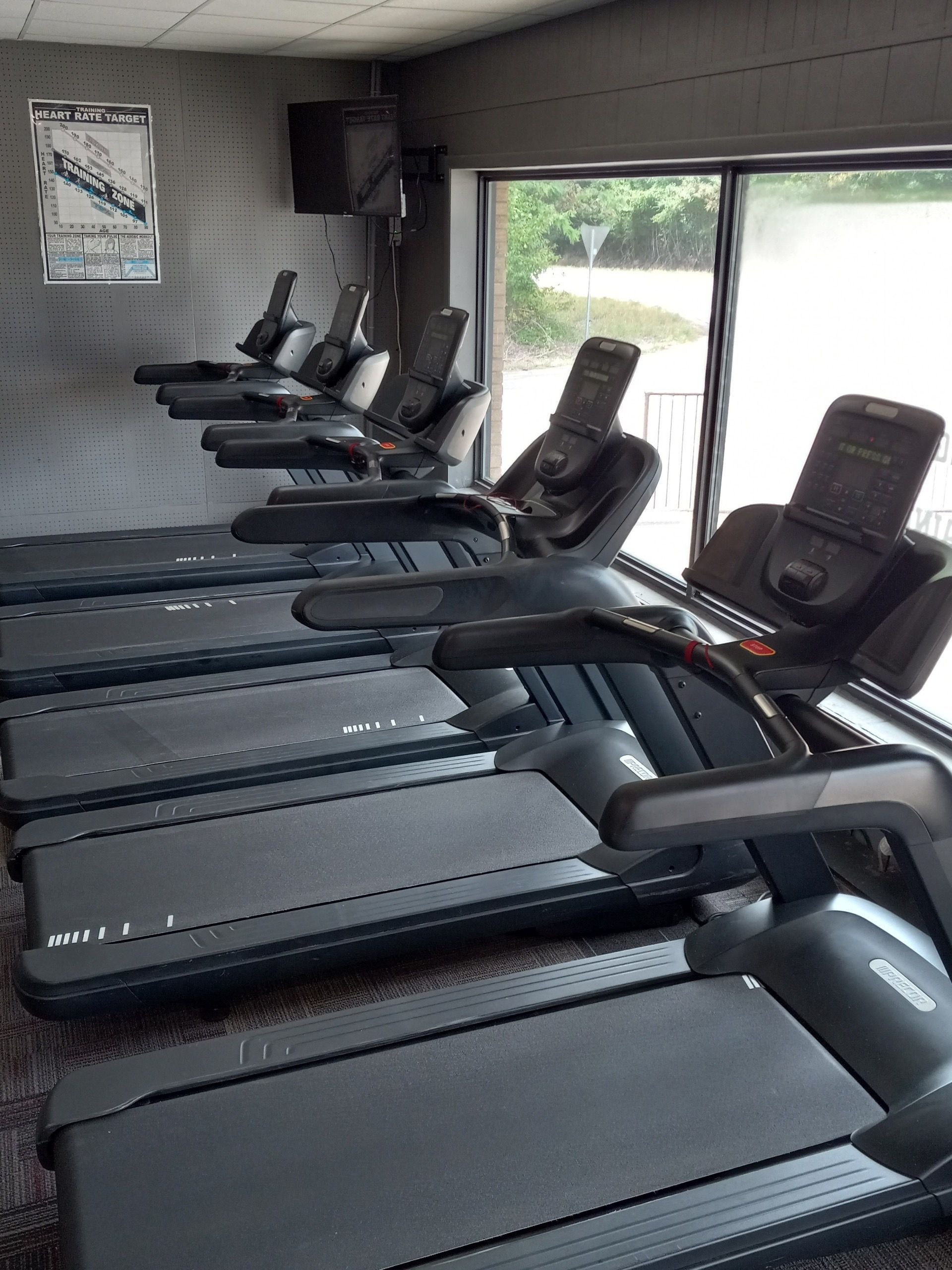 Row of black treadmills in a gym. Sunlight streams through a window in the background.