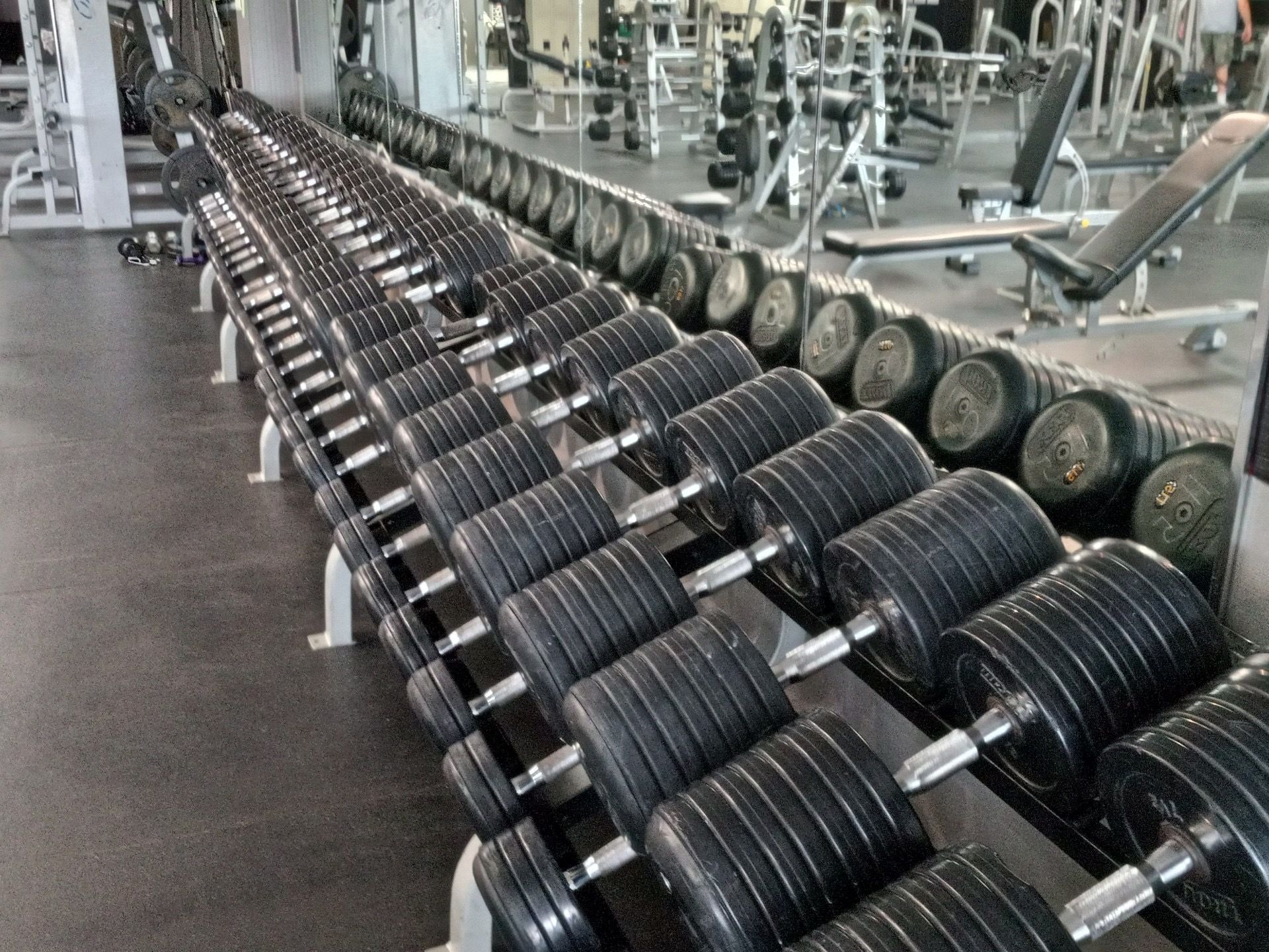 Rows of dumbbells on racks in a gym. The weights are black, and the setting is bright with other exercise equipment visible.