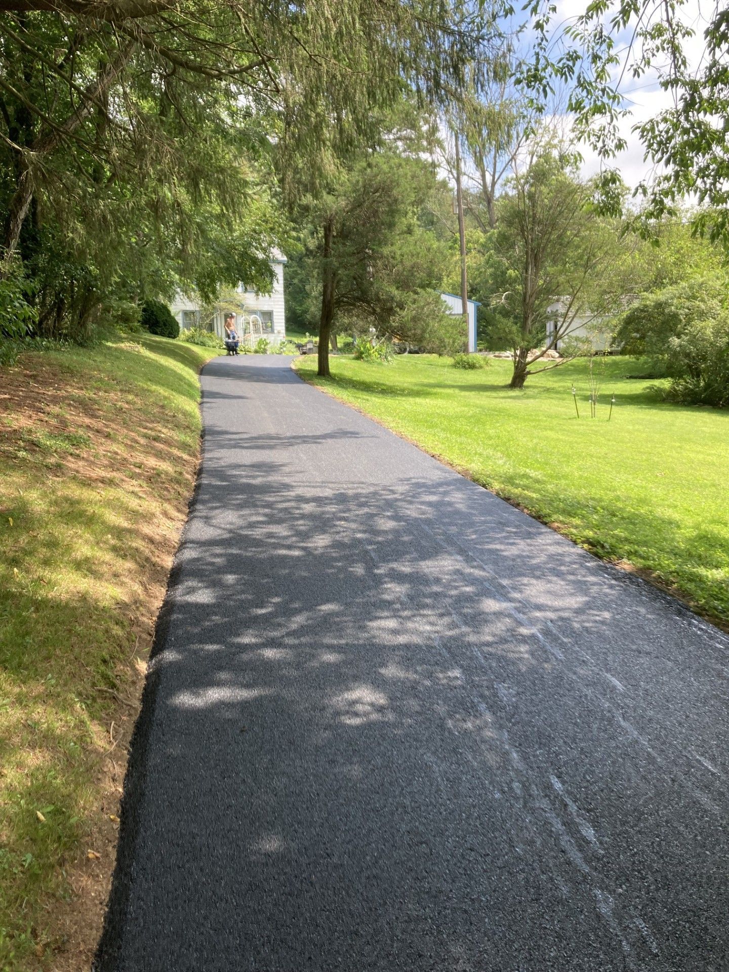 A driveway leading to a house surrounded by trees and grass.