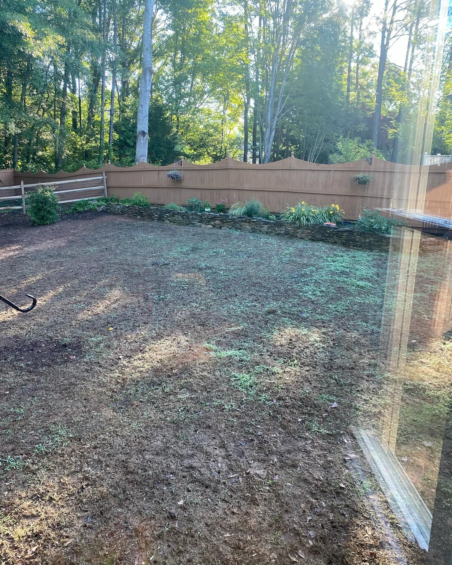 A backyard with a wooden fence and trees in the background.