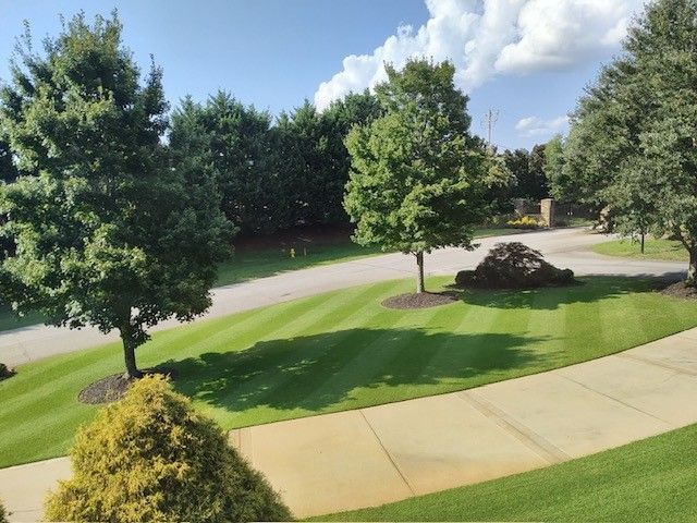 A lush green lawn with trees and a concrete walkway