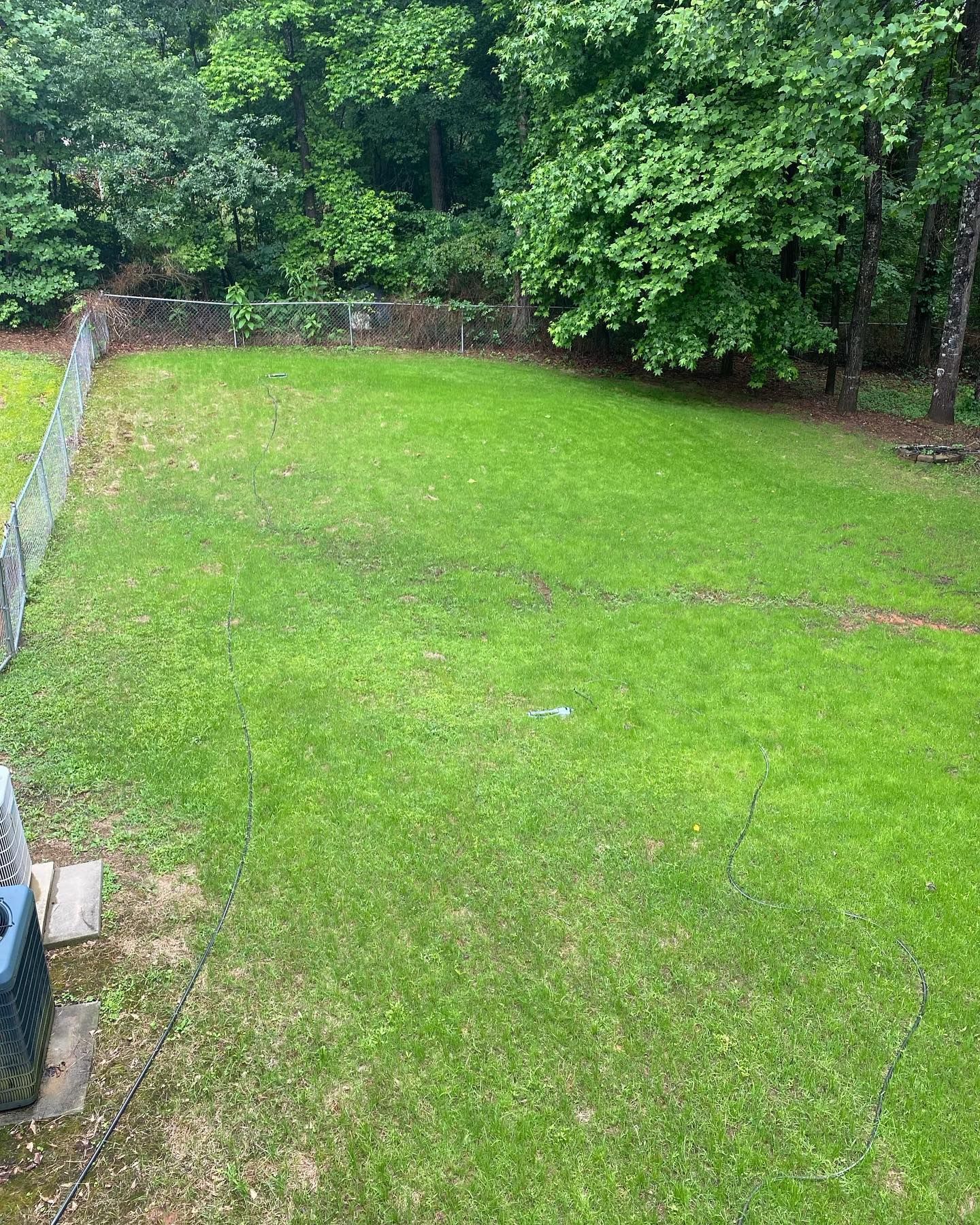 A large lush green lawn with a fence and trees in the background.
