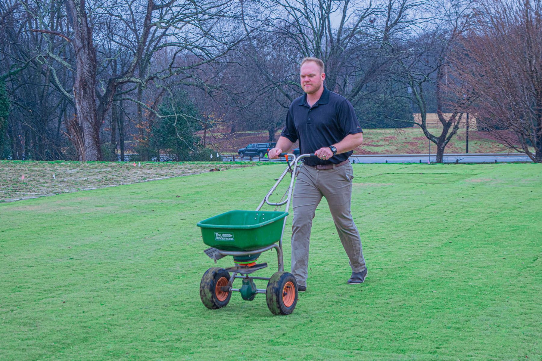 A man is spreading fertilizer on a lush green lawn with a wheelbarrow.