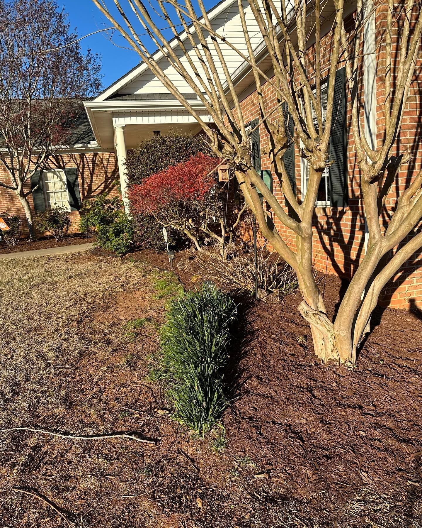 A brick house with a tree in front of it.