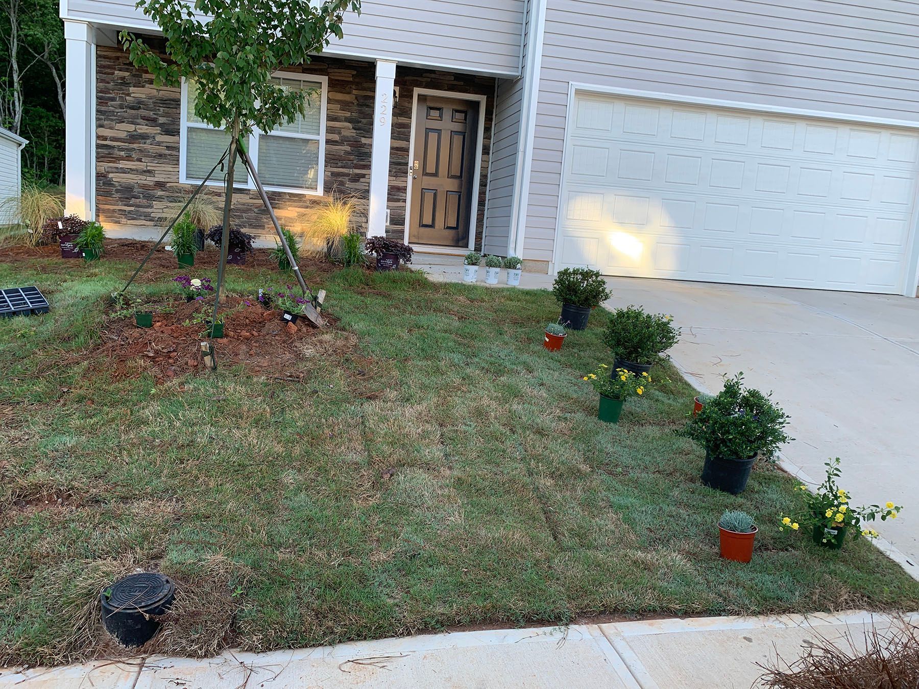 A house with a lot of potted plants in front of it.