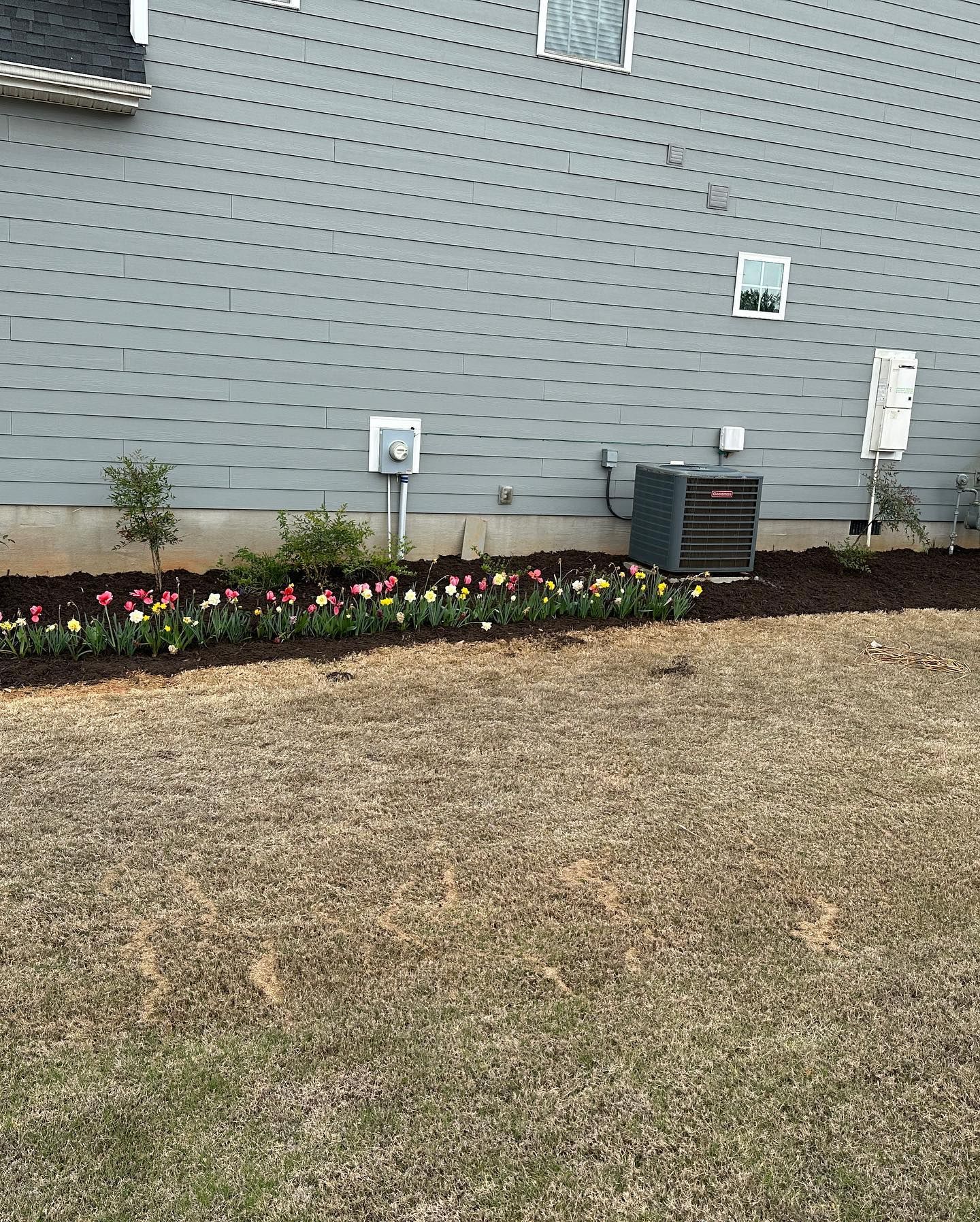 A house with a lawn and flowers in front of it.