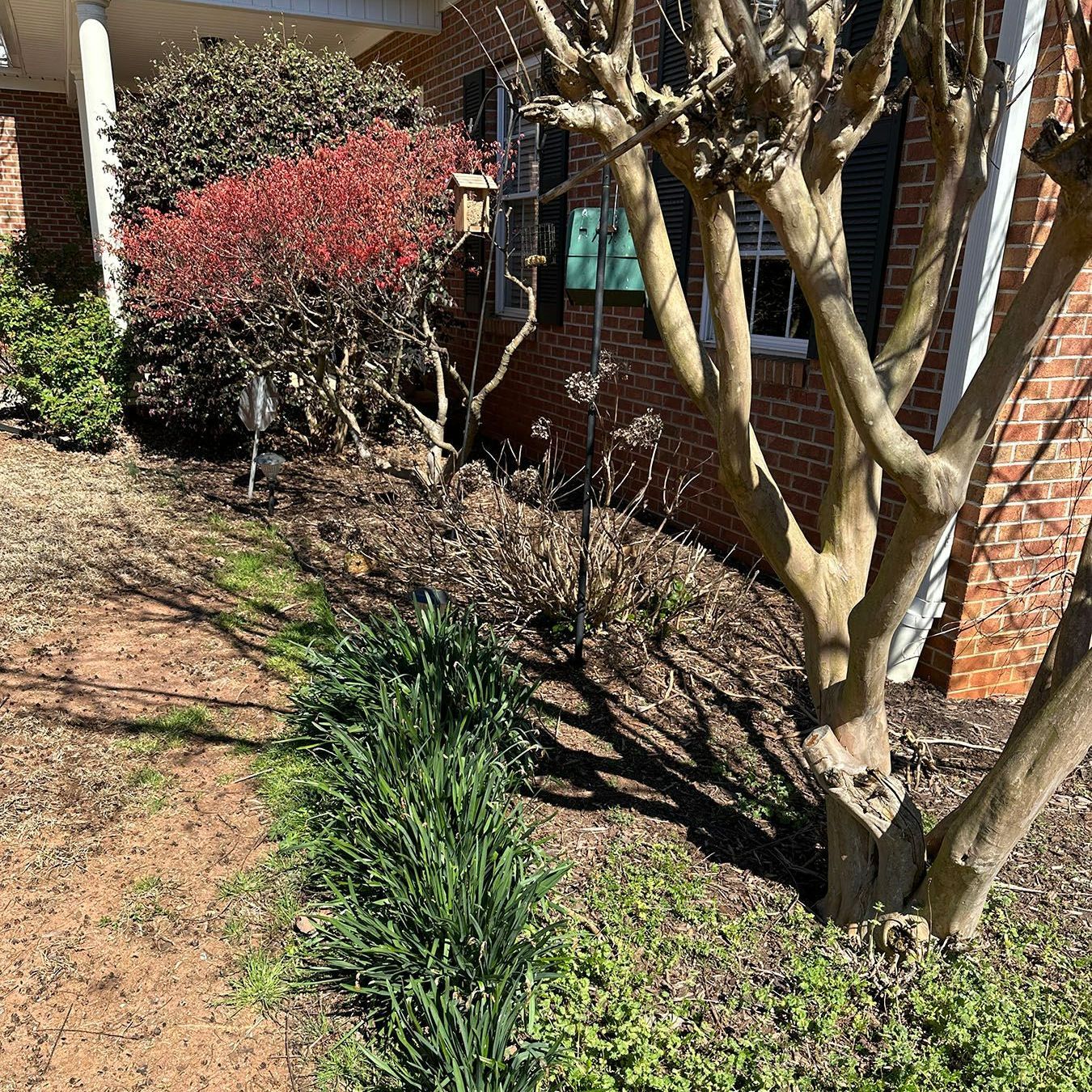 A brick house with a tree in front of it.