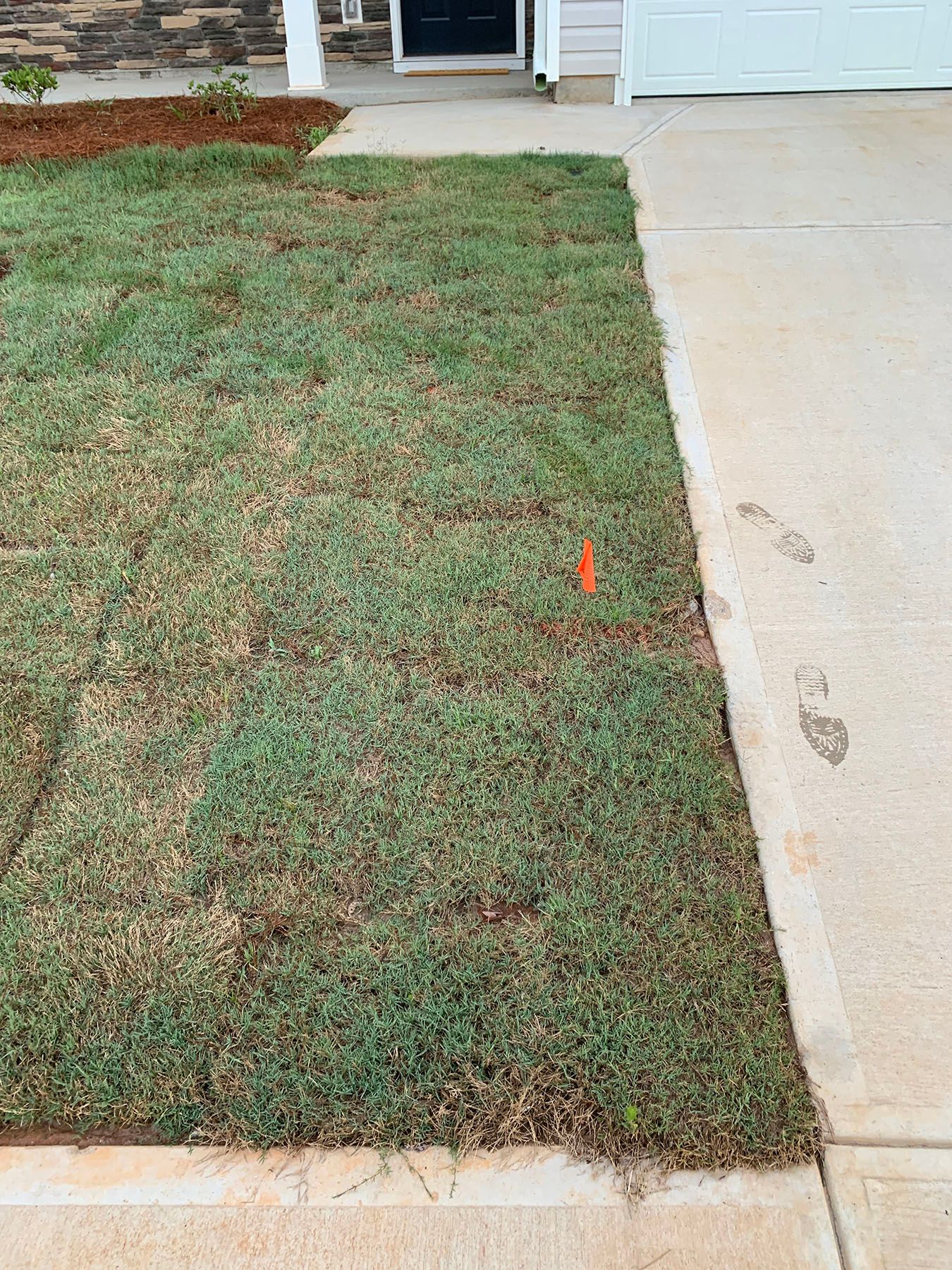A patch of grass next to a concrete curb in front of a house.