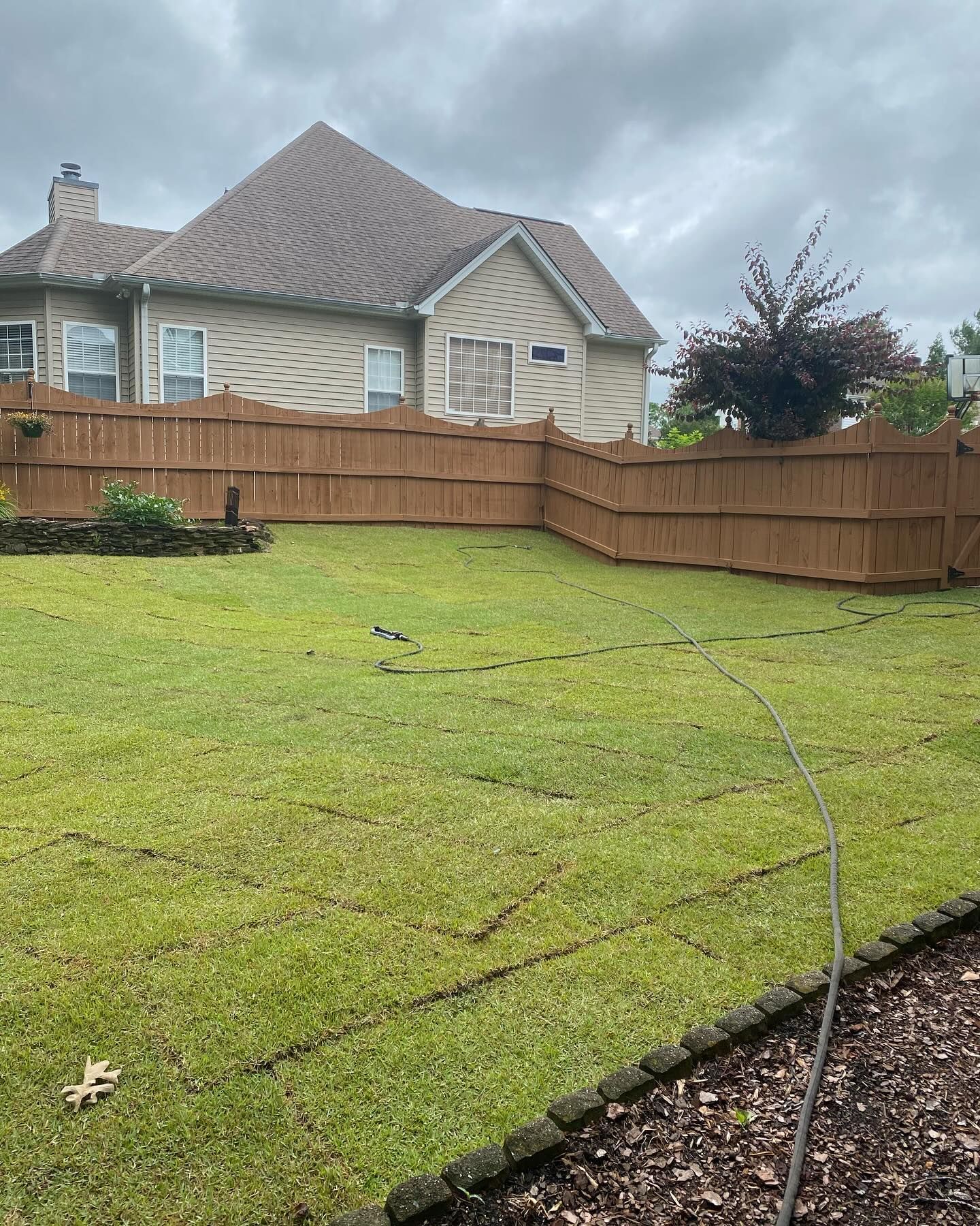 A backyard with a wooden fence and a house in the background.
