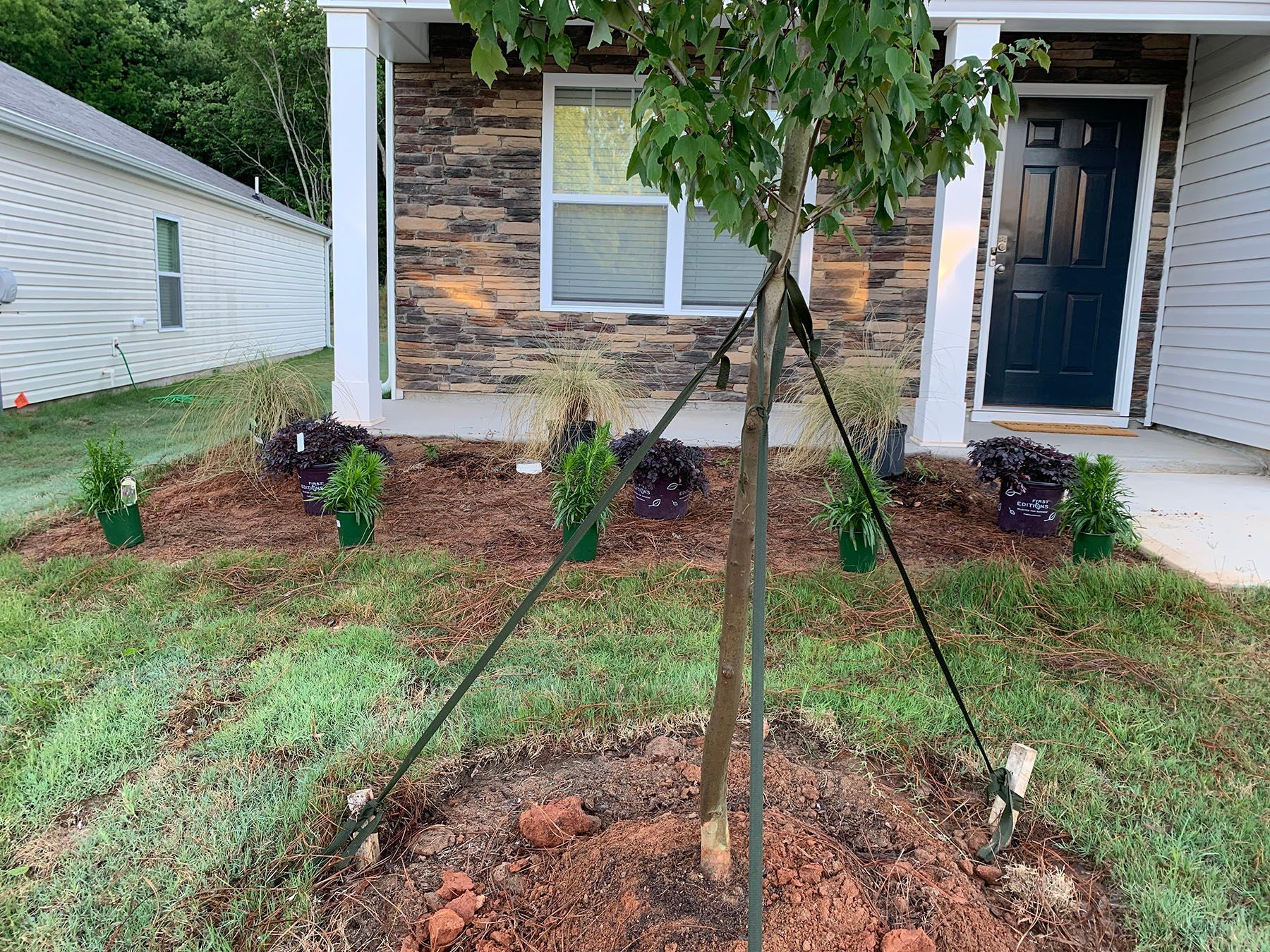 A tree is being planted in front of a house.