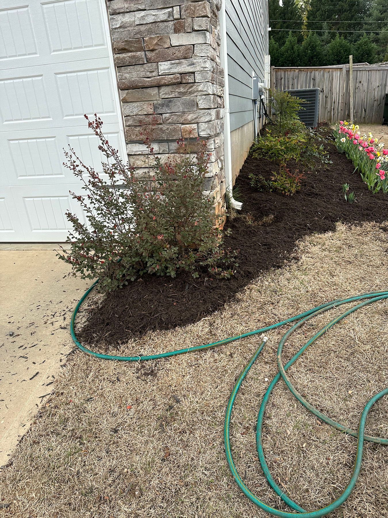A green hose is laying on the ground in front of a house.