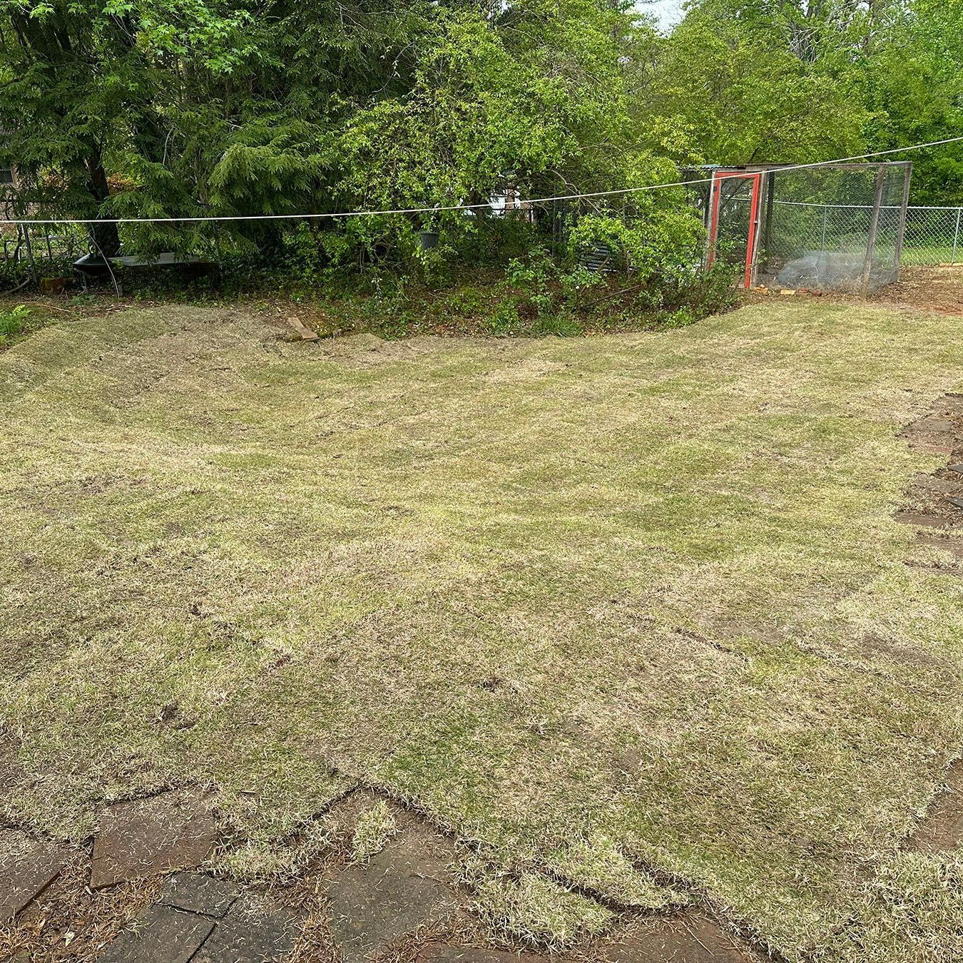 A lawn with a lot of grass and trees in the background.