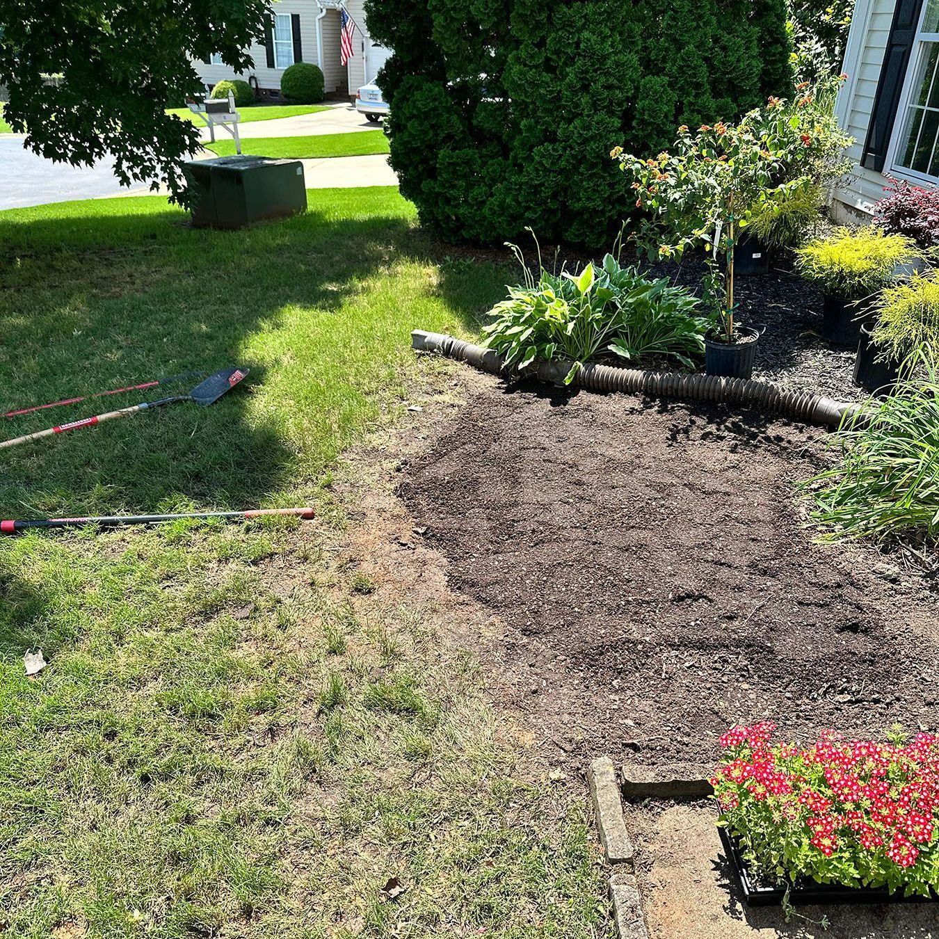 A lawn with a lot of plants and a shovel in it.