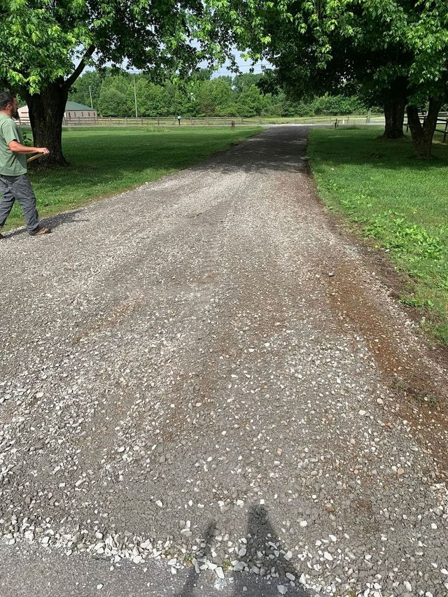 Gravel path through a green park with trees lining both sides