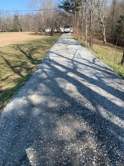 Gravel driveway curving through a wooded yard, with long tree shadows in bright sunlight.