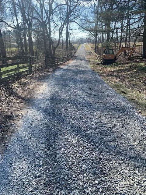 Gravel road lined with bare trees on a sunny day, leading into the distance