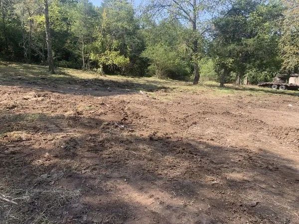 Cleared dirt area beside trees and greenery under bright daylight