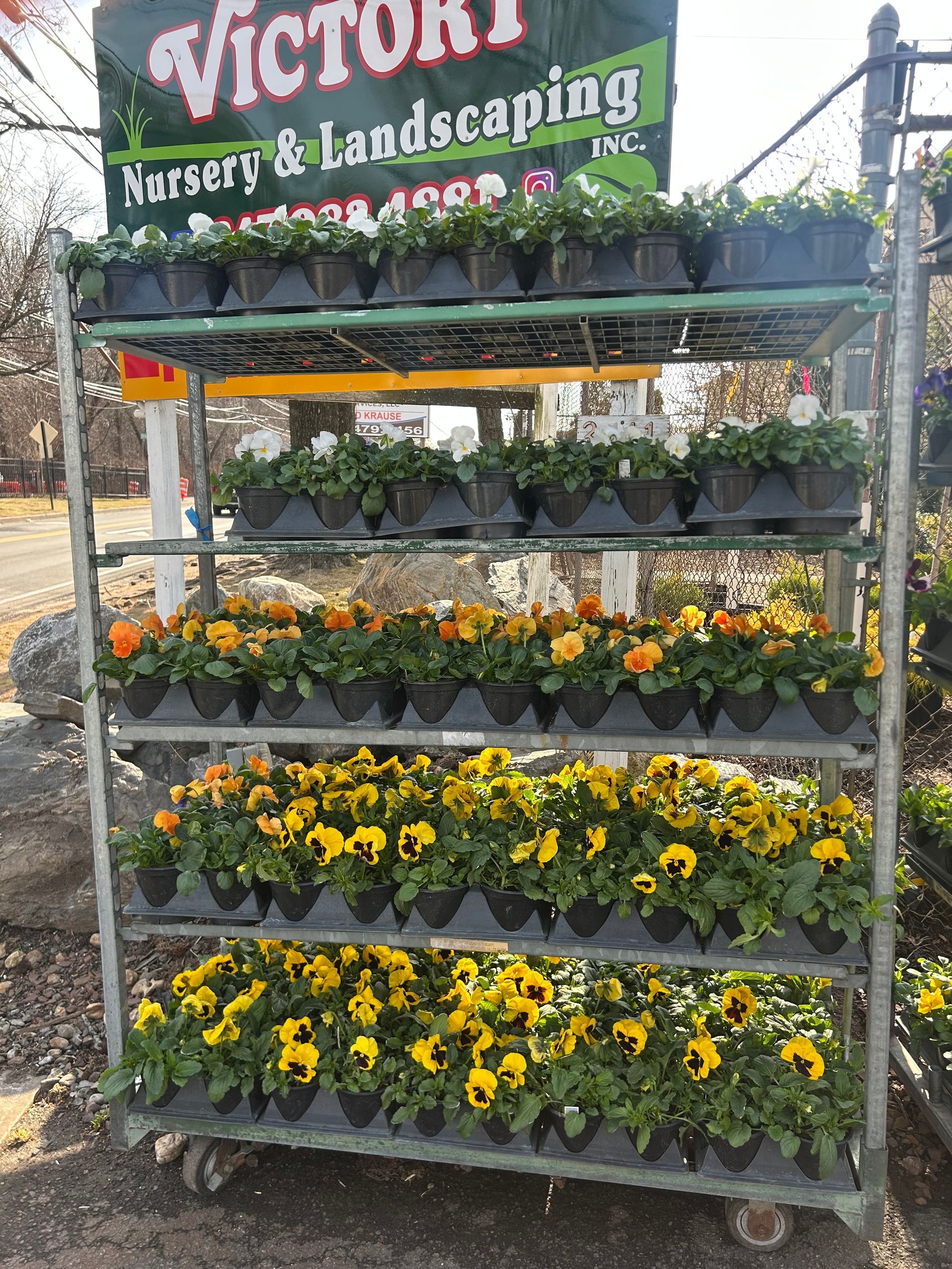 A cart filled with yellow flowers and a sign that says victory nursery and landscaping.