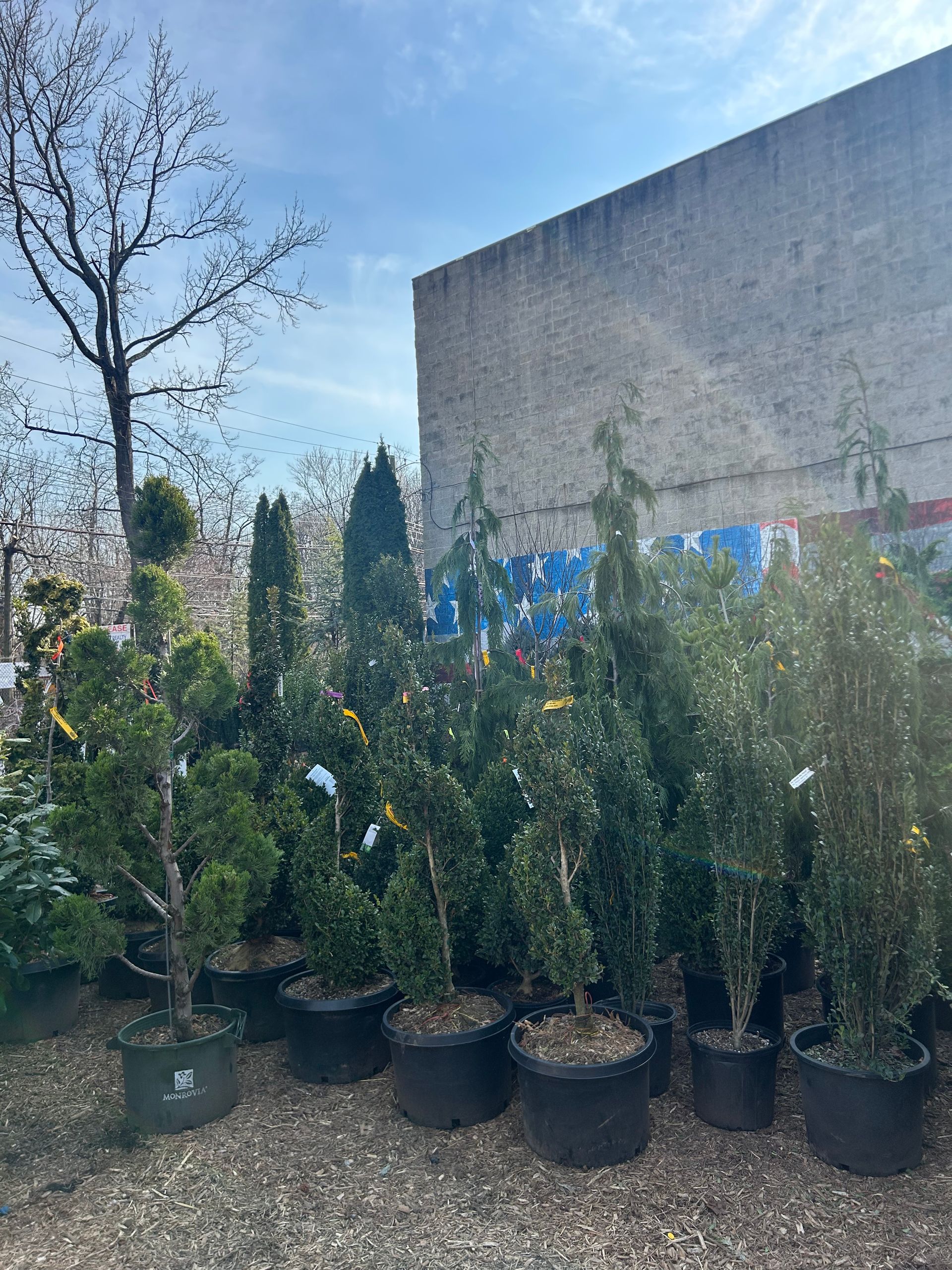 A bunch of potted plants are sitting in front of a building.