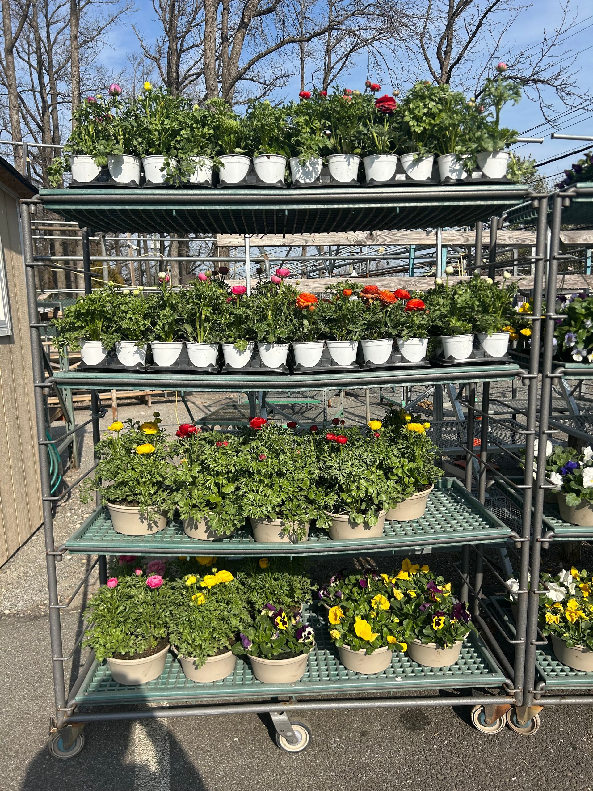 A cart filled with potted plants and flowers.